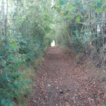 117907769_2908872445884468_2634628740558432446_n 117907769_2908872445884468_2634628740558432446_n