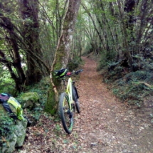 116434660_328182424864223_5679410690115635012_n 116434660_328182424864223_5679410690115635012_n