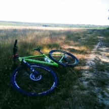 IMG_20200712_164941 IMG_20200712_164941