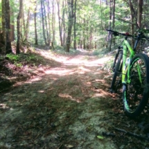 IMG_20200712_171215 IMG_20200712_171215