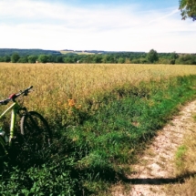 IMG_20200712_172635 IMG_20200712_172635