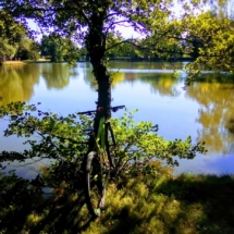 IMG_20200712_180624 IMG_20200712_180624