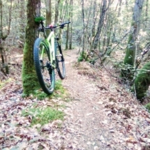 IMG_20200713_082153 IMG_20200713_082153