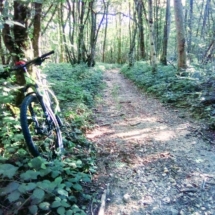 IMG_20200713_084442 IMG_20200713_084442