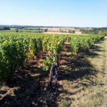 IMG_20200713_093011 IMG_20200713_093011