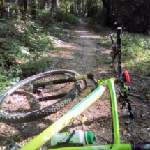 IMG_20200713_101812 IMG_20200713_101812