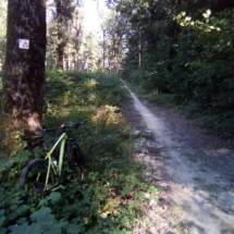 IMG_20200713_184614 IMG_20200713_184614