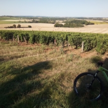 IMG_20200713_185303 IMG_20200713_185303