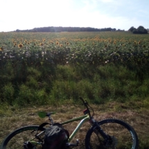 IMG_20200713_190658 IMG_20200713_190658