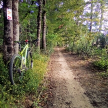 IMG_20200714_085844 IMG_20200714_085844