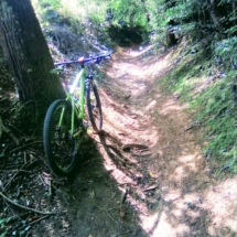 IMG_20200714_091520 IMG_20200714_091520