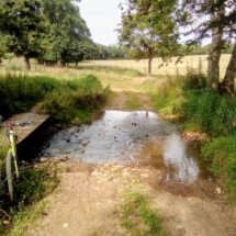 IMG_20200714_100649 IMG_20200714_100649