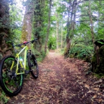 IMG_20200715_104257 IMG_20200715_104257