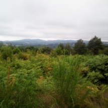 IMG_20200715_105309 IMG_20200715_105309