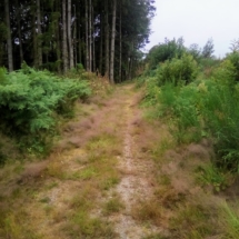 IMG_20200715_105317 IMG_20200715_105317