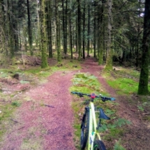 IMG_20200715_114440 IMG_20200715_114440