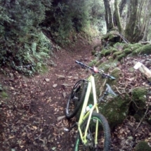 IMG_20200716_093722 IMG_20200716_093722