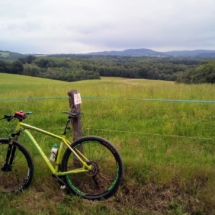 IMG_20200716_174710 IMG_20200716_174710