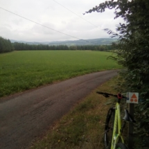 IMG_20200717_100212 IMG_20200717_100212