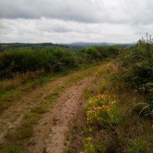 IMG_20200717_102833 IMG_20200717_102833