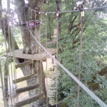 IMG_20200717_142341 IMG_20200717_142341