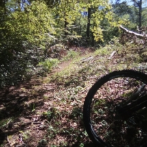 IMG_20200718_122741 IMG_20200718_122741