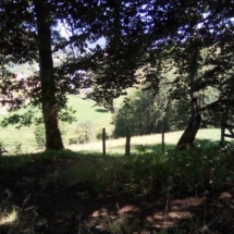 IMG_20200718_122750 IMG_20200718_122750