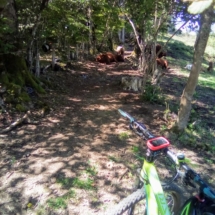 IMG_20200718_123016 IMG_20200718_123016