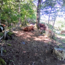 IMG_20200718_123031 IMG_20200718_123031