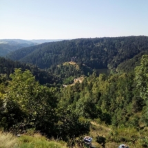 IMG_20200720_095207 IMG_20200720_095207