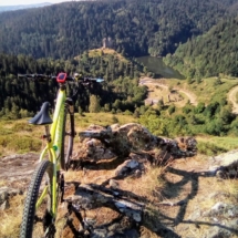 IMG_20200720_095732 IMG_20200720_095732