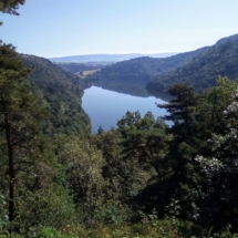 IMG_20200720_101920 IMG_20200720_101920