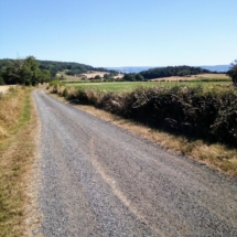 IMG_20200720_105009 IMG_20200720_105009