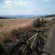 IMG_20200721_103654 IMG_20200721_103654