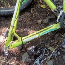 IMG_20200721_111755 IMG_20200721_111755