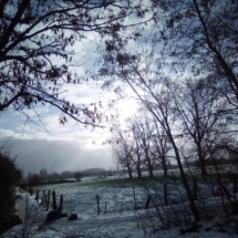 IMG_20210117_105648 IMG_20210117_105648