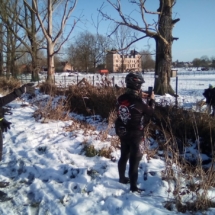 IMG_20210117_113333 IMG_20210117_113333