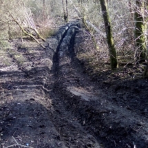 IMG_20210221_115813 IMG_20210221_115813