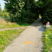 IMG_20210613_093912 IMG_20210613_093912