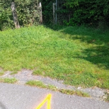 IMG_20210825_114916 IMG_20210825_114916