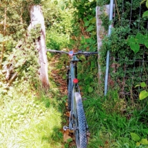 IMG_20210825_115021 IMG_20210825_115021