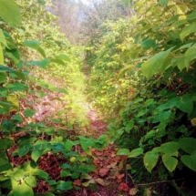 IMG_20210825_115228 IMG_20210825_115228