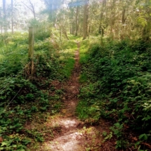 IMG_20210825_115624 IMG_20210825_115624