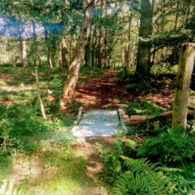 IMG_20210825_120910 IMG_20210825_120910