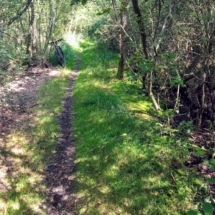 IMG_20210825_121630 IMG_20210825_121630