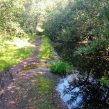 IMG_20210825_121810 IMG_20210825_121810