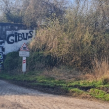 277538120_10227877114570283_8651922106947774388_n 277538120_10227877114570283_8651922106947774388_n