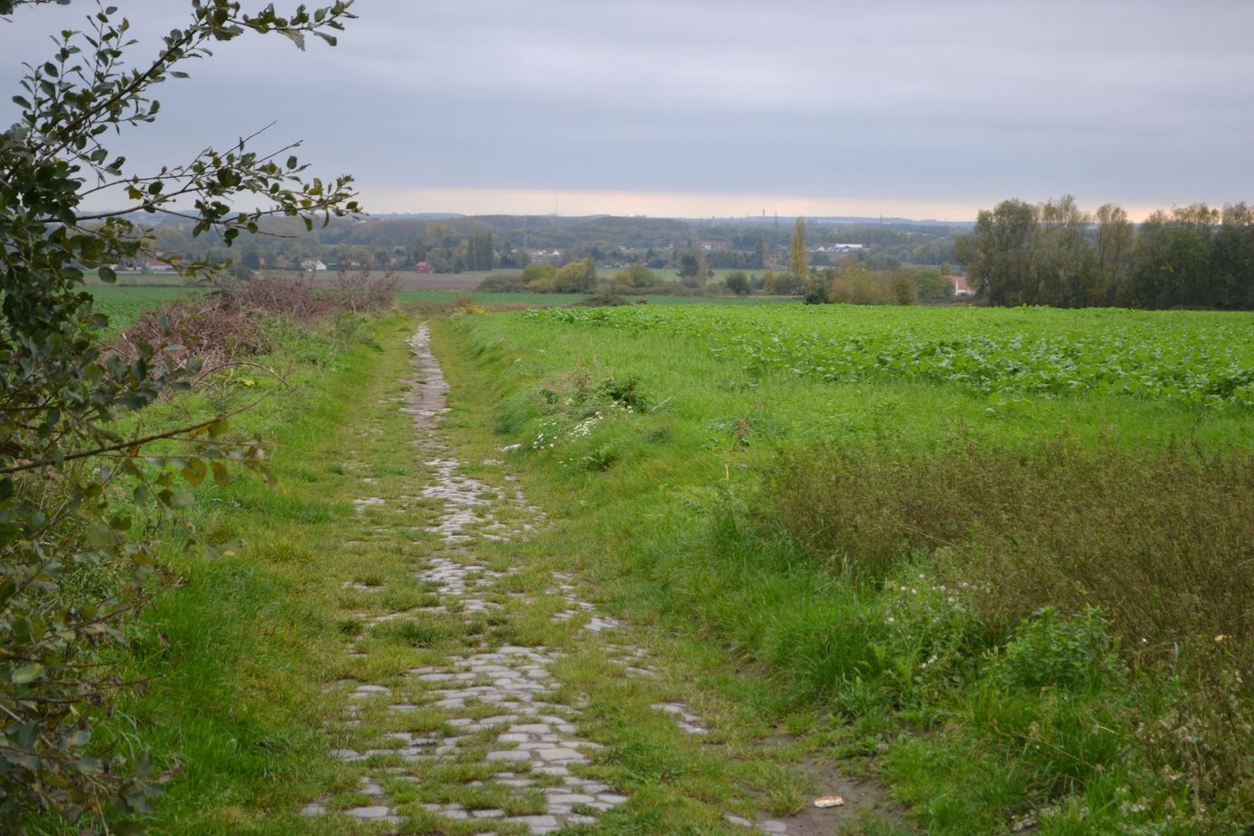 DSC_0772