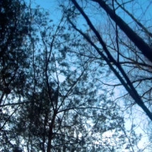 vcfaumont-2018-02-18-15h37m48s378 vcfaumont-2018-02-18-15h37m48s378