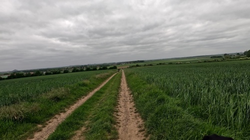 Rando-2025-05-18-16h02m49s555